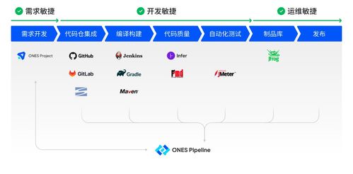 软件研发项目管理全流程 从需求分析到产品上线的实战指南